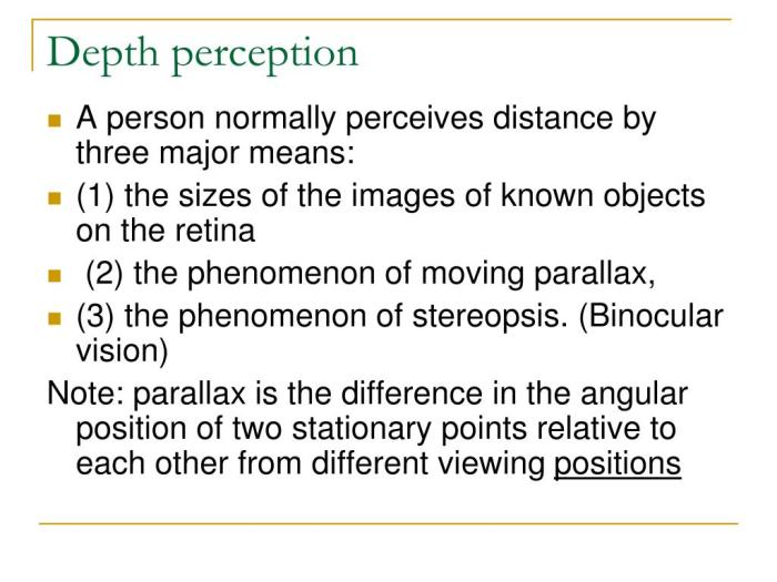 Perception theory