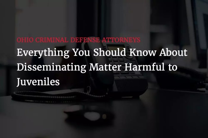 What is disseminating matter harmful to juveniles examples