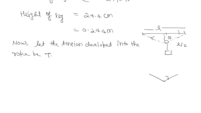 A rope of negligible mass is stretched horizontally