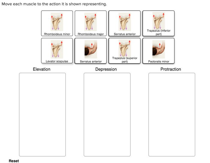 Move action adjust representing shown